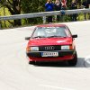 CW Triestingtal Rally 2011 031
